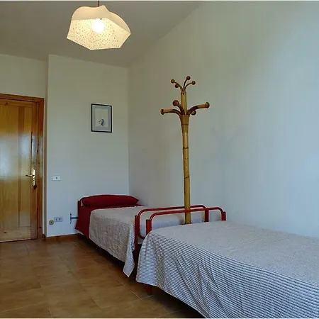 Cicas San Cataldo (Apulia)